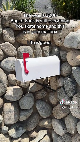 Skateboarding Nostalgia: 2008's Best Moments