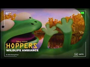 Wildlife Camera 10hr Nature Ambiance | Hoppers