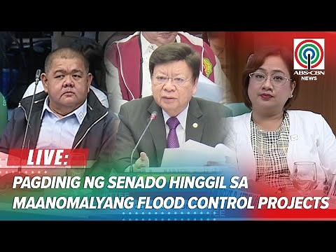 LIVE: Senate Blue Ribbon Committee hearing on anomalous flood control projects | September 1