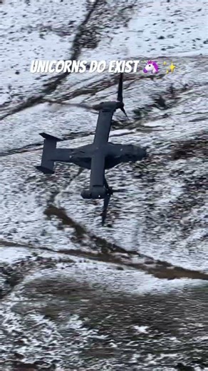 Unicorns do exist 🦄✨