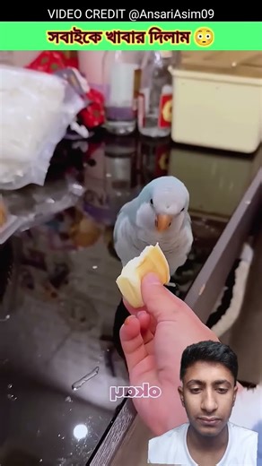 5 Simple Tricks to Instantly Improve Your SKILLS in Just One Week