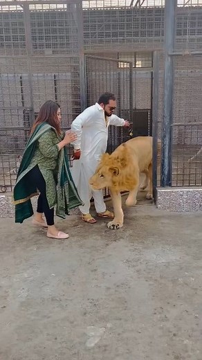 10M views · 101K reactions | #vairal #reel | Sultan Sayed | Facebook