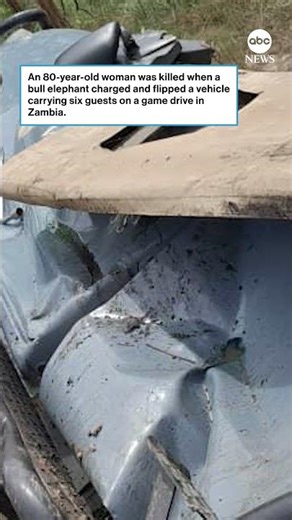 Deadly bull elephant attack caught on camera