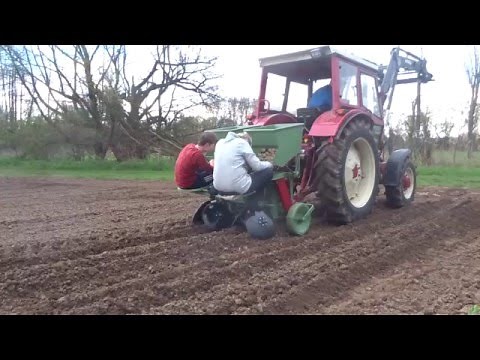 IHC mit Hassia Kartoffellegemaschine im Einsatz Teil1