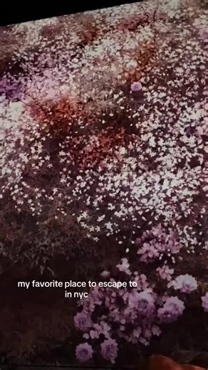 At Mercer Labs, art doesn’t just hang on the walls—it surrounds you, moves you, and comes to life through cutting-edge technology. Now you can experience the magic of Mercer Labs after hours with our new experience, Maestros After Dark. Get your tickets with the link in our bio. 📍 Visit us 21 Dey St, NYC 🎥 @samantherehh #NYC #MercerLabs #ThingsToDoInNYC #HiddenGem #NewYorkCity