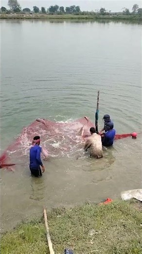 মাছ ধরার সময় কি মজা