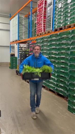 Clap Check for Team Spirit: Engage with Your Colleagues