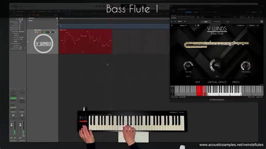 AcousticSamplesVWindFlutes建模管弦木管乐音源9合1乐器套装音色演示