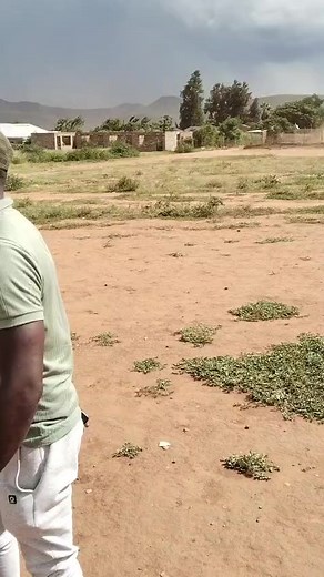 GO-OPERATION (@johnny.nkosi)’s videos with original sound - GO-OPERATION