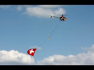 HELICOPTER LOGGING RC T-REX 600 | SWISSPOWERJET