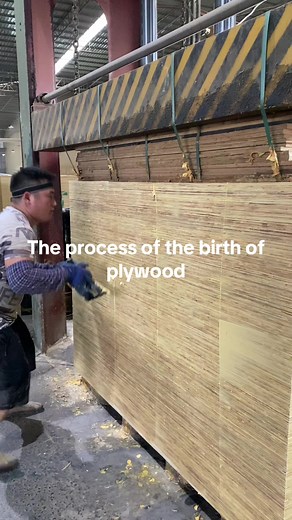 Understanding the Plywood Production Process