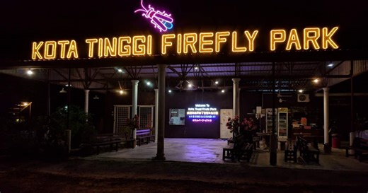 Kota Tinggi Firefly River Cruise Tour in Johor Bahru - Klook Singapore