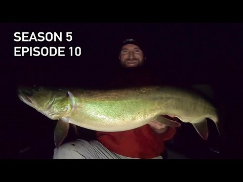 Why We Hunt Muskies at NIGHT! S5.E10