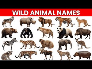 40 Amazing Animals for Kids | Animal Names | English Vocabulary