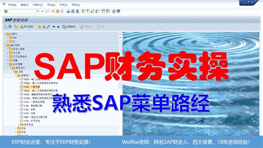 SAP财务实操《熟悉SAP菜单路径》@SAP快速入门