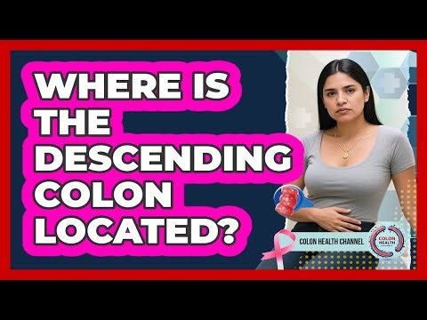Where Is the Descending Colon Located?