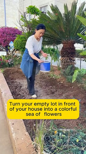 178 reactions · 4 comments | A Gift That Blooms  Looking for...