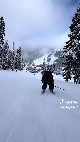 Milogibski on TikTok