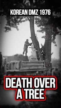 Tree That Almost Started WW3 in the Korean DMZ (1976)