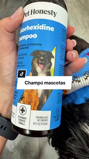 Pet Honesty Chlorhexidine Cat & Dog Seasonal Itch Relief Shampoo, for Allergies, Itching, Skin and Coat Support Helps Shedding, Hot Spots, and Deodorizing Dog, Cat & Kitten Shampoo & Grooming Supplies for Bath##perro##gato##veterinarym
