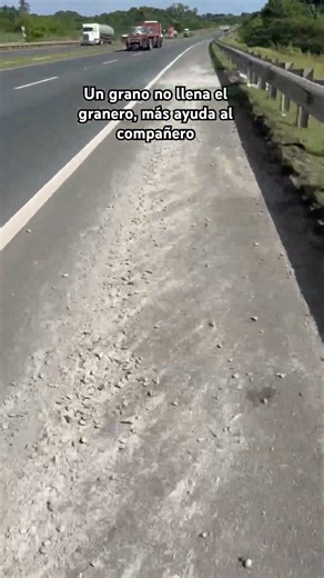 Un grano no llena el granero, más ayuda al compañero