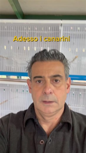 My new canary breeding cage setup