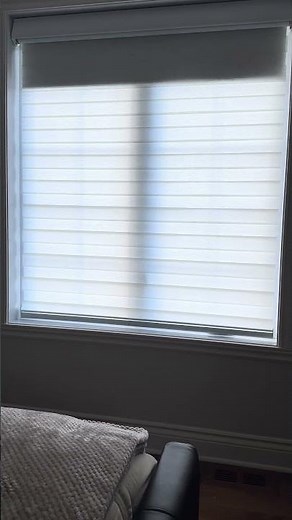 Double Zebra Roller Shades with Hidden Blackout