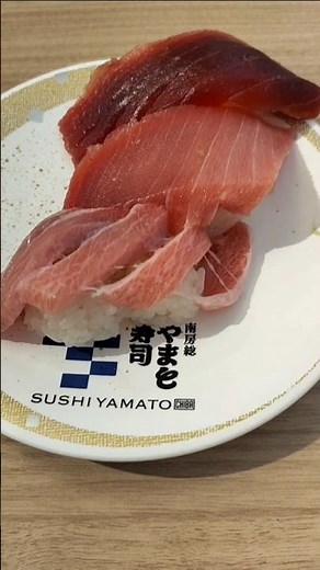 【南房総寿司やまと】#寿司 #食べ放題 #回転寿司