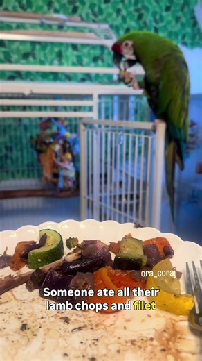Enriching Macaw Diets with Fresh Veggies