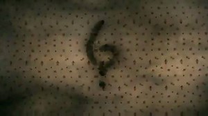 24K views · 1.5K reactions | ⚠️ NUOVO TEASER! ⚠️ --fred. | Citazioni improbabili di American Horror Story. | Facebook