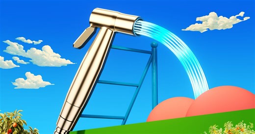 The Best Bidet Is a $25 Bum Gun