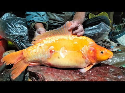 🔴 Live Village Fish Cutting ASMR | Fresh Seafood Processing from Market 🐠🔪🐟