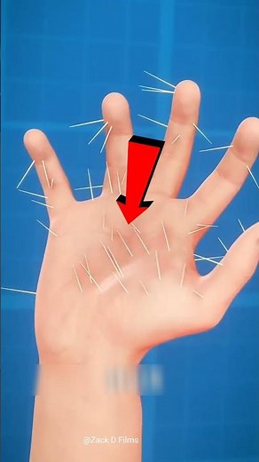 How to remove Cactus Plant Needles