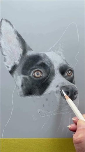How to Draw a Realistic Dog Nose | Step-by-Step Pet Portrait Tutorial