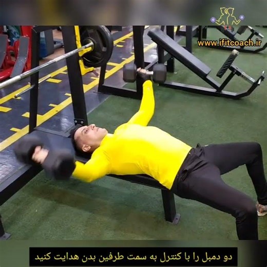 Dumbbell Chest Fly | Build a Wider Chest