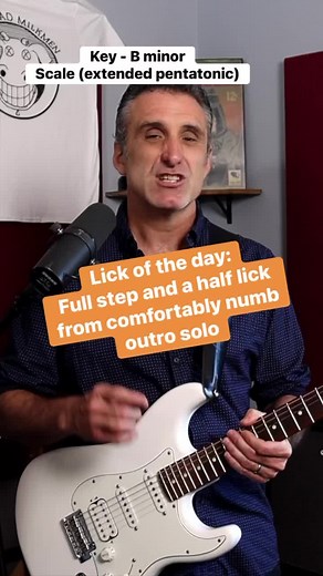 Clip from comfortably numb can teach you to solo - the step and a half bend lick you must learn! #guitarlesson #comfortablynumb #pinkfloyd #davidgilmour #leadguitar #guitarlicks | Anthony Parker and the Near Life Experience