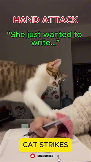Cat Attacks Owner’s Hand While Writing… No Warning