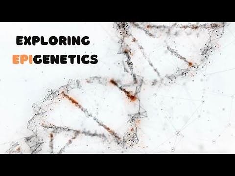 Exploring Epigenetics
