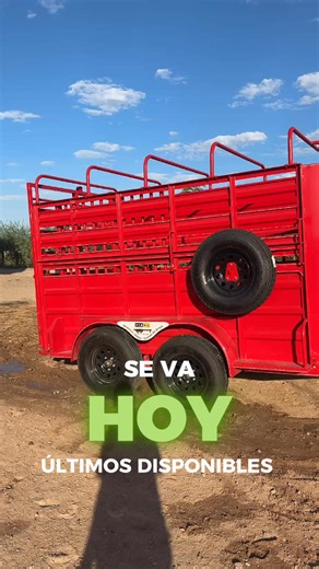 401K views · 1.3K reactions | 퐒퐄 퐕퐀 퐇퐎퐘❗퐂퐎퐌퐁ퟬ 퐑퐀퐍퐂퐇퐄퐑ퟬ퐍❗ 퐀퐙퐓퐄퐂퐀 퐃퐄 퐑퐄퐆ퟭ퐒퐓퐑ퟬ + 퐑퐄퐌ퟬ퐋퐐퐔퐄 ퟮퟬퟮퟱ❗ ퟭ 퐗 ퟮퟱퟬ 퐏.퐄.퐒.ퟬ.퐒❗ 퐁ퟬ퐍ퟬ퐒 퐀퐂퐓ퟭ퐕ퟬ퐒❗ 퐒퐄 퐕퐀 퐄퐋 ퟯퟭ 퐃퐄 ퟬ퐂퐓퐔퐁퐑퐄❗ | Sorteos Caballos en México | Facebook