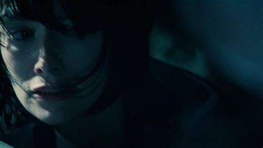 American Nightmare 1. fr