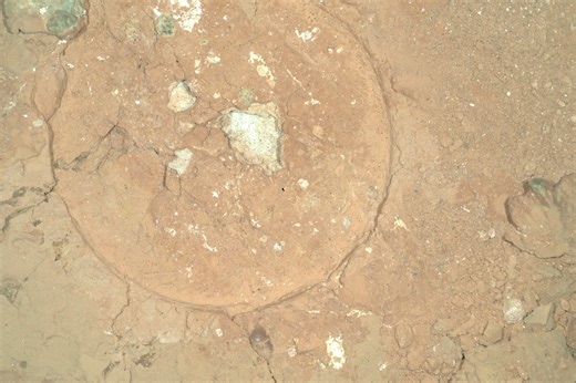 Nasa discovers mysterious green spots on Mars that could be signs of alien life