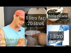 Arruda - Repelente Natural para formigas e outros insetos