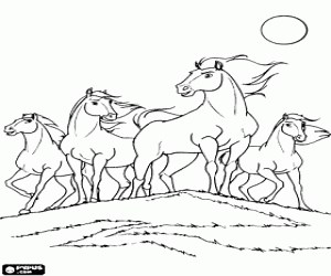Spirit with his herd coloring page printable game
