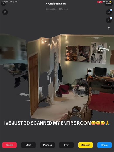 Explore My 3D Scanned Room: A New Perspective!