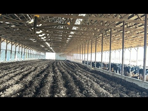 Maintaining our compost bedded pack in the wintertime.