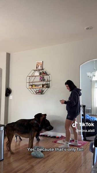 Merlin the Dog Uses His New Button Creatively