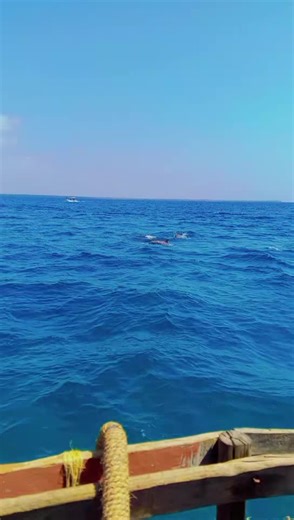 The Journey Ends, But Memories Last Forever