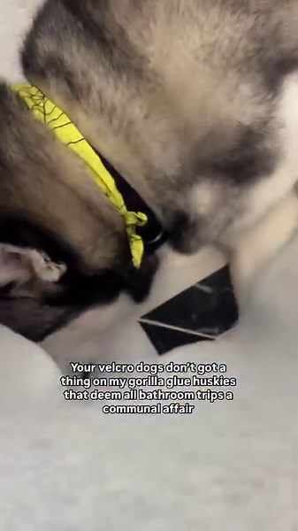 When it was time to handle business together