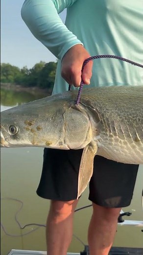 Catching a MONSTER Alligator Gar on the Brazos River! 🎣 | Fish Camp Adventure