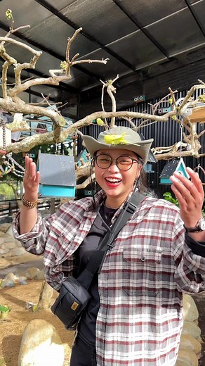 😙 Địa điểm checkin rất vui, đầy đủ dịch vụ ở Đà Lạt #dalat #dalatreview #didalatcungtruc #checkindalat #dalatdidau | Đi Đà Lạt Cùng Trúc